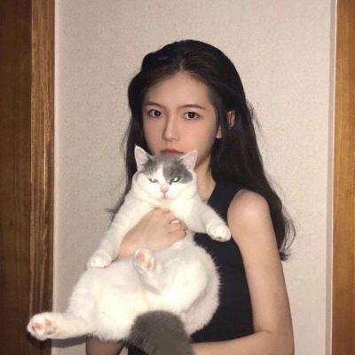 女仆联盟破解版下载